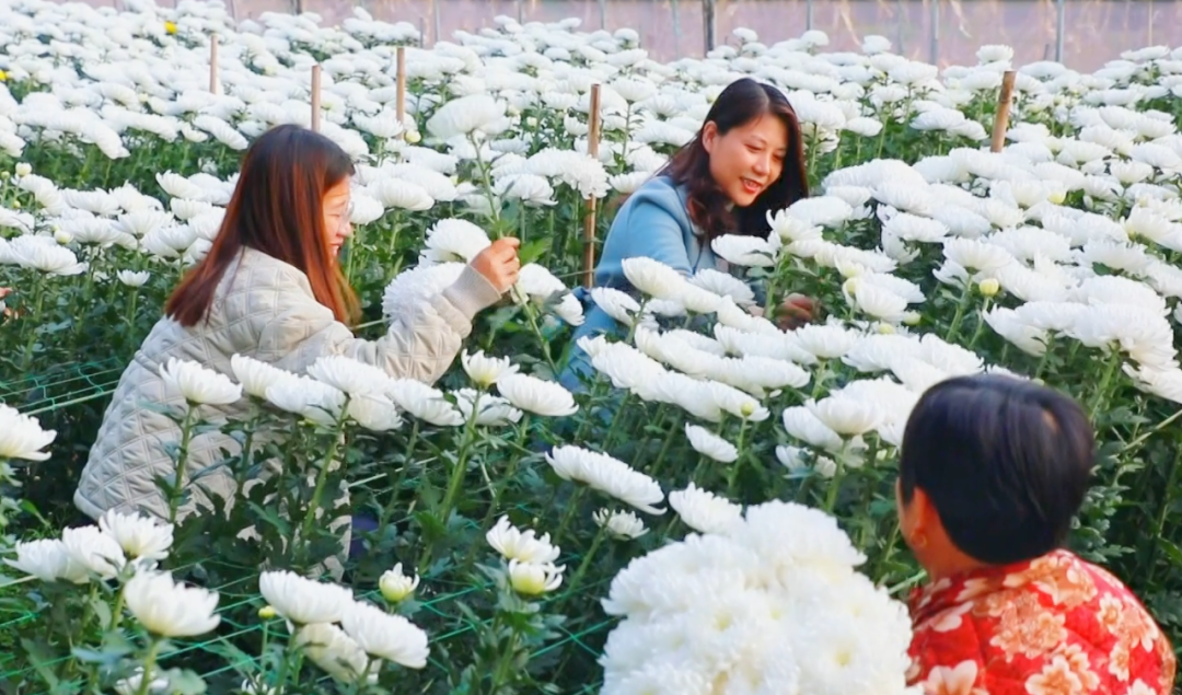 �F�ǅ^(q��)���ջ������M�ء���