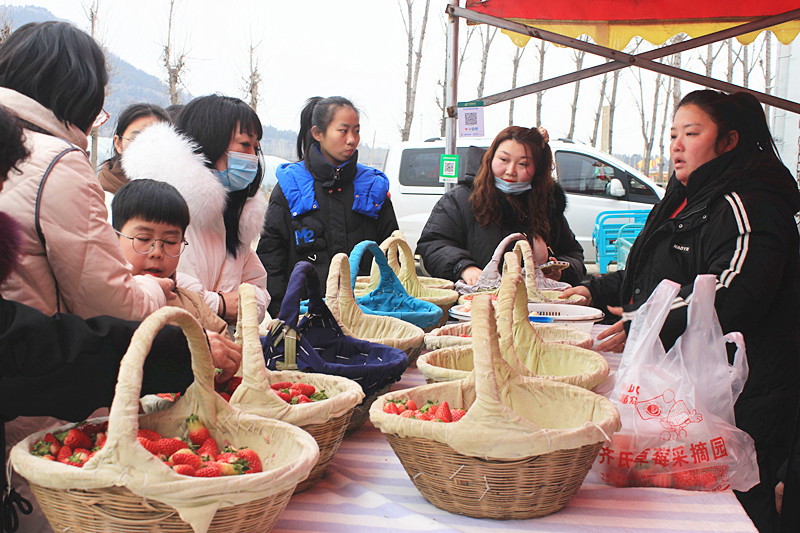 ��ݮ�h��c�´� | ���f�(zh��n)��ɽ�ڲ�ݮ��ժ��Ȥ���������w�e����ζ