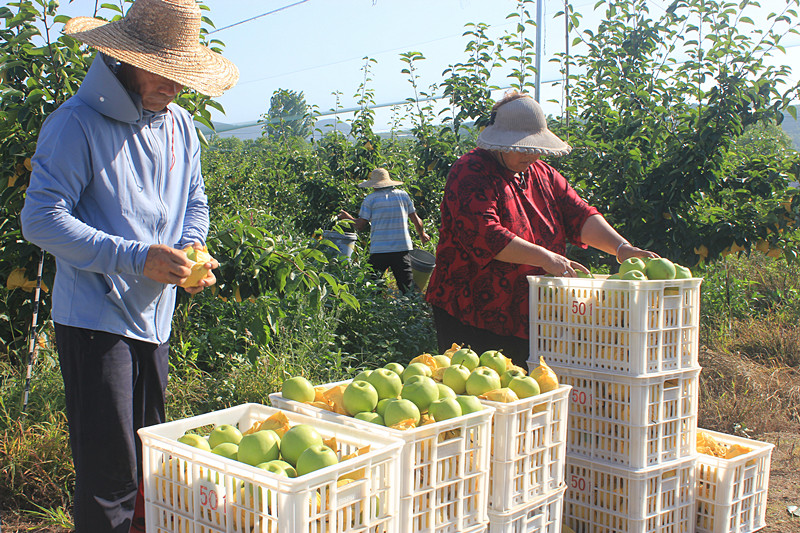 ��ó������Ѕ^(q��)ǰ�����@��(g��)���@������������