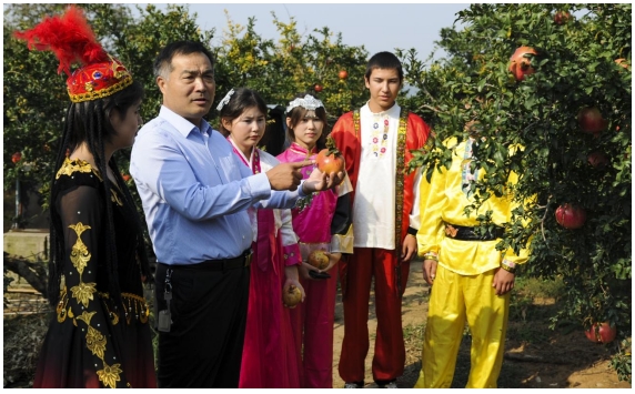 ���f��Ѧ�ǅ^(q��)���f(xi��)�M���_չ�����l(xi��ng)�����d ���L(f��ng)���(d��ng)