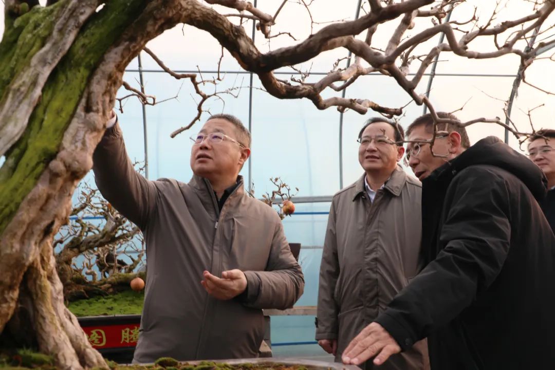 ���f��ί����(sh��)ӛ������ί��(sh��)ӛ����(gu��)�ށ�(l��i)�F�ǅ^(q��)�{(di��o)��ʯ��a(ch��n)�I(y��)�l(f��)չ����