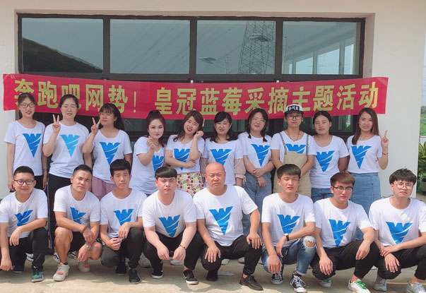 【奔跑吧網(wǎng)勢！】藍莓采摘主題團建活動